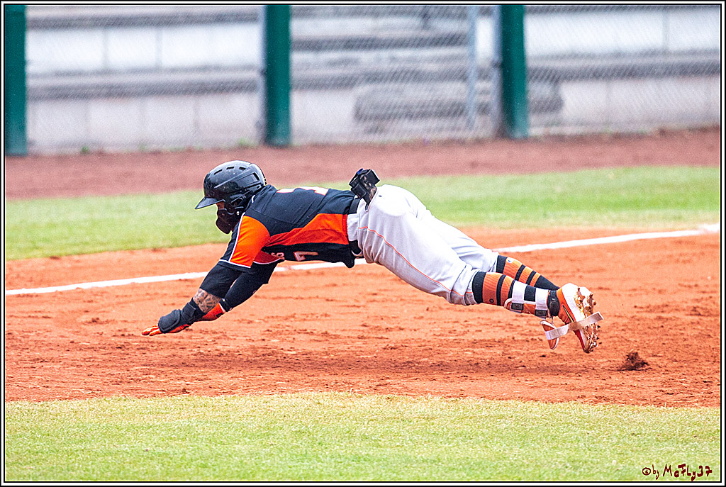 35. European-Championship-Baseball Netherland-Israel, 11.09.2019