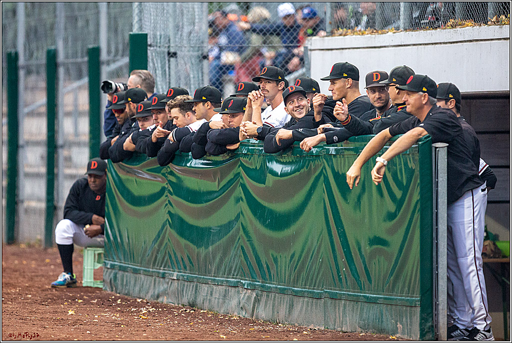 35. European-Championship-Baseball Czech Republic - Germany, 11.09.2019