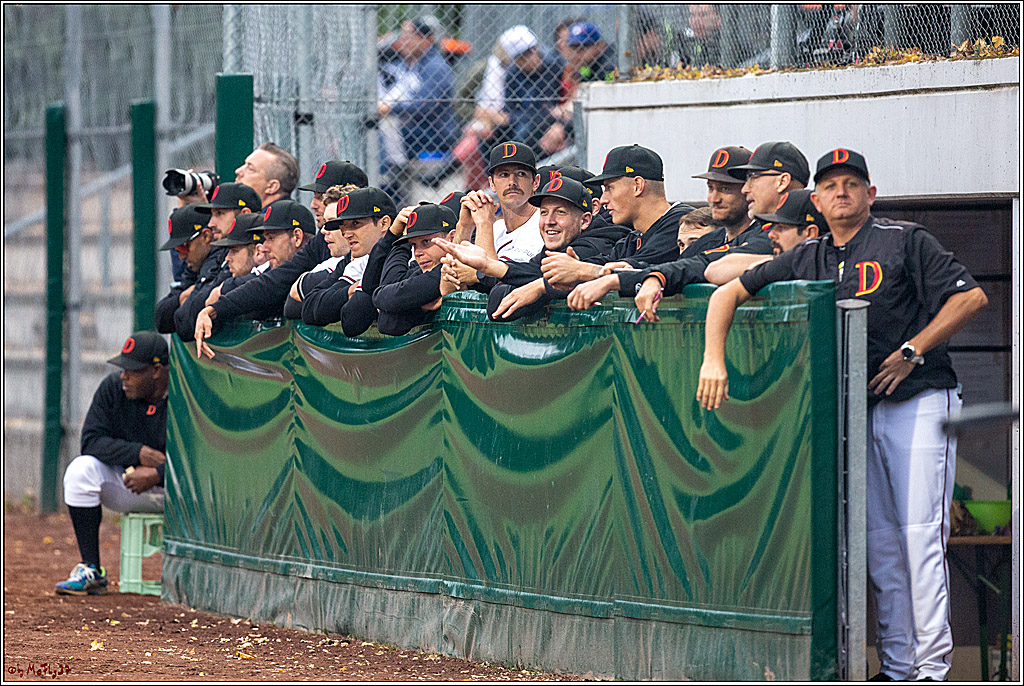 35. European-Championship-Baseball Czech Republic - Germany, 11.09.2019