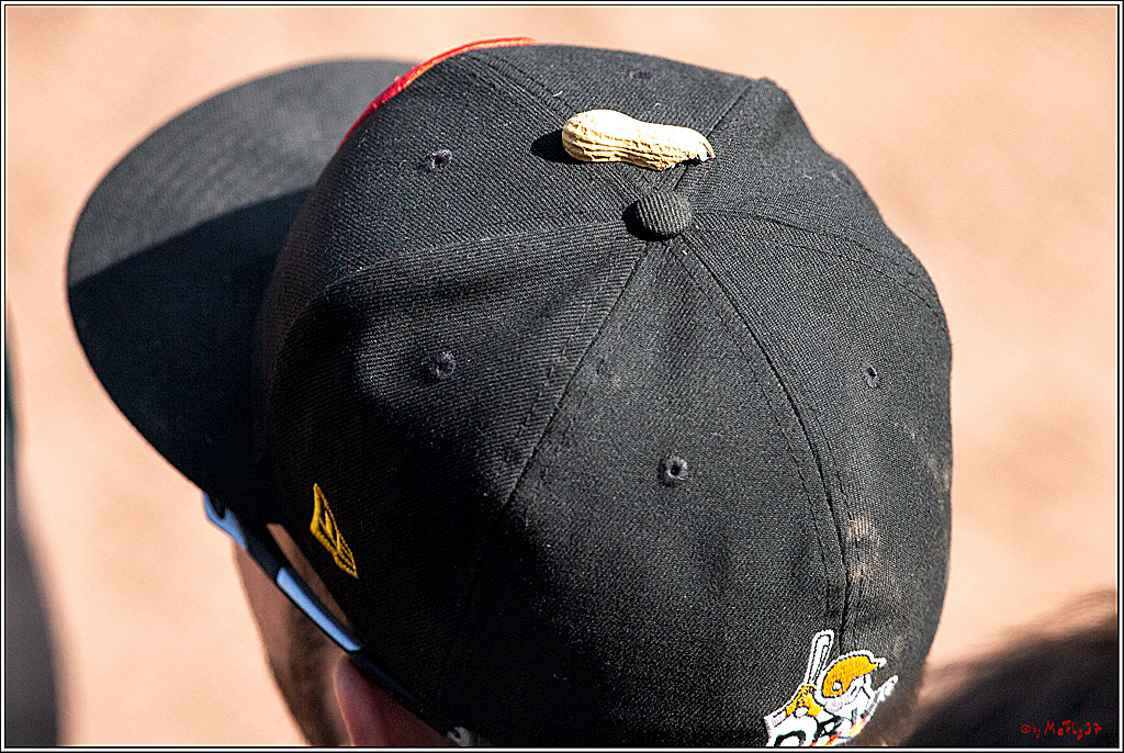 35. European-Championship-Baseball Germany vs. Czech Republic; Bonn, 15.09.2019