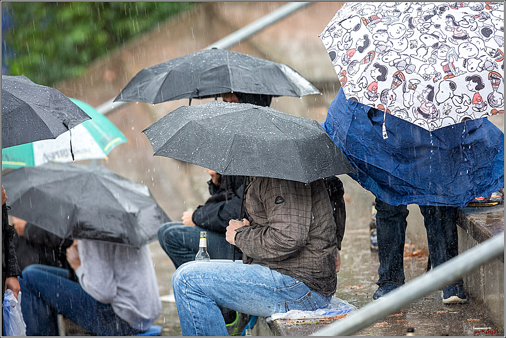 35. European-Championship-Baseball Italy-France 16-2, 07.09.2019