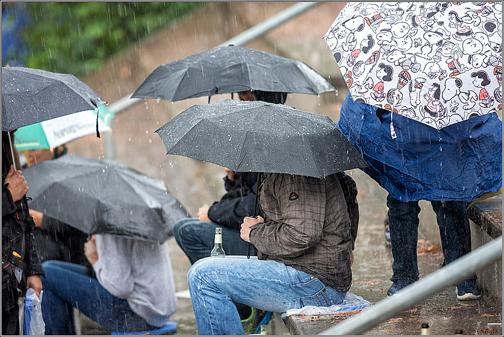 35. European-Championship-Baseball Italy-France 16-2, 07.09.2019