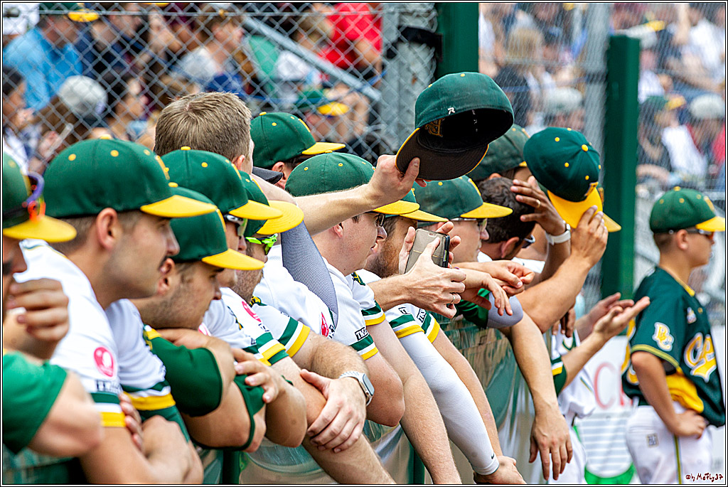 Baseball Bundesliga Finale Spiel 3 - Bonn Capitals Vs. Heidenheim Heidekoepfe, 03.08.2019