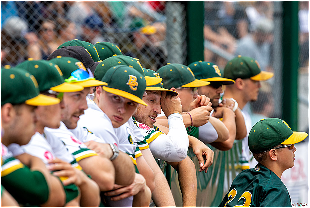 Baseball Bundesliga Finale Spiel 3 - Bonn Capitals Vs. Heidenheim Heidekoepfe, 03.08.2019