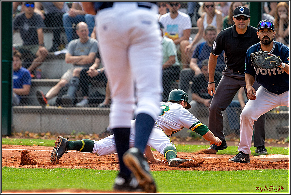Baseball Bundesliga Finale Spiel 3 - Bonn Capitals Vs. Heidenheim Heidekoepfe, 03.08.2019