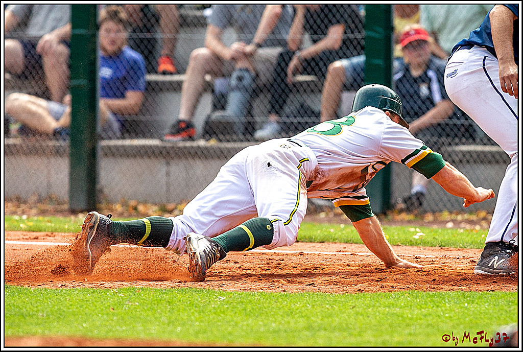 Baseball Bundesliga Finale Spiel 3 - Bonn Capitals Vs. Heidenheim Heidekoepfe, 03.08.2019