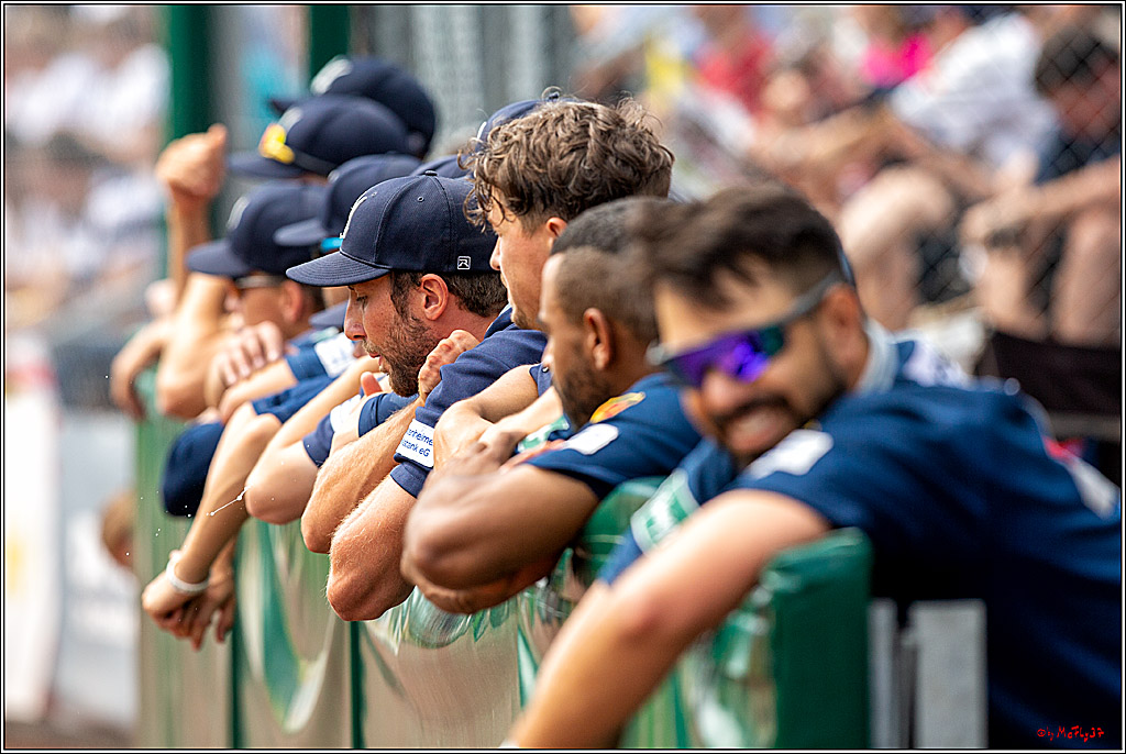 Baseball Bundesliga Finale Spiel 3 - Bonn Capitals Vs. Heidenheim Heidekoepfe, 03.08.2019