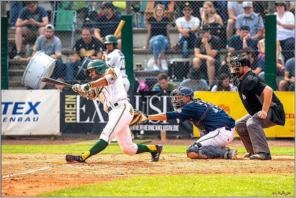 Baseball Bundesliga Finale Spiel 3 - Bonn Capitals Vs. Heidenheim Heidekoepfe, 03.08.2019
