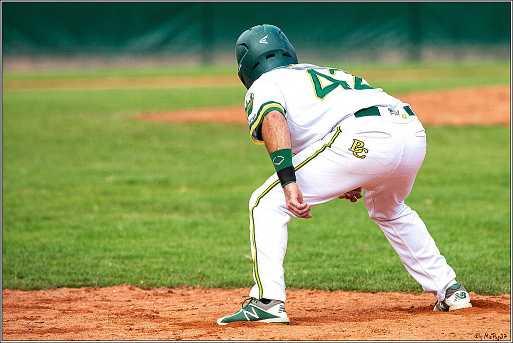 Baseball Bundesliga Finale Spiel 3 - Bonn Capitals Vs. Heidenheim Heidekoepfe, 03.08.2019