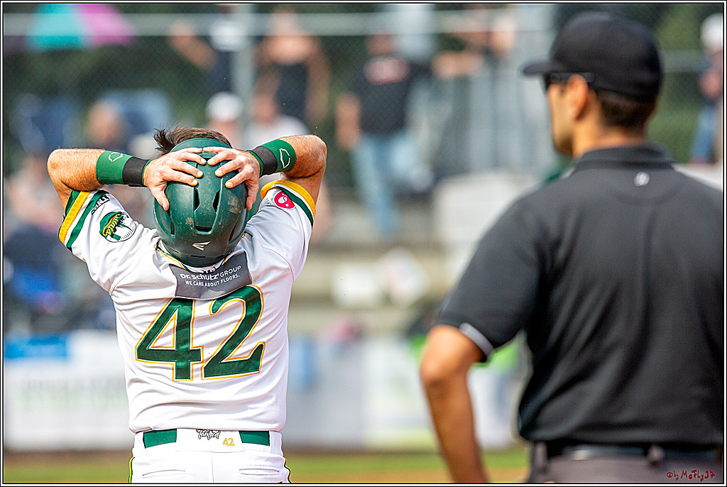 Baseball Bundesliga Finale Spiel 3 - Bonn Capitals Vs. Heidenheim Heidekoepfe, 03.08.2019