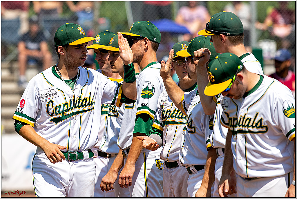 Baseball Bundesliga Finale Spiel 4 - Bonn Capitals Vs. Heidenheim Heidekoepfe, 04.08.2019