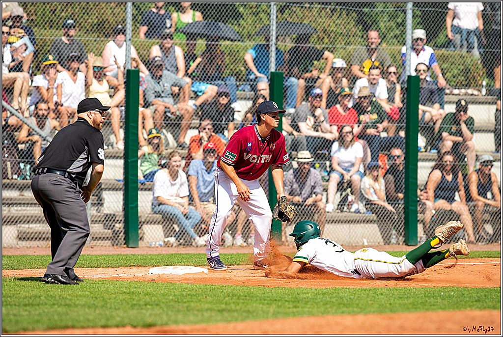 Baseball Bundesliga Finale Spiel 4 - Bonn Capitals Vs. Heidenheim Heidekoepfe, 04.08.2019