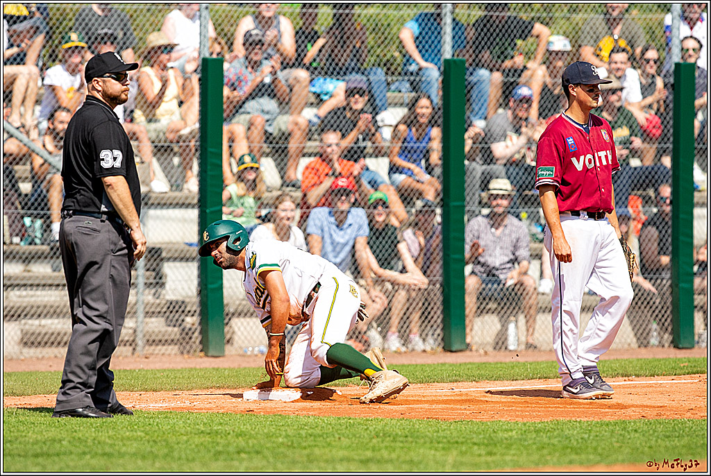 Baseball Bundesliga Finale Spiel 4 - Bonn Capitals Vs. Heidenheim Heidekoepfe, 04.08.2019