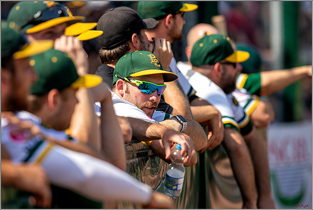 Baseball Bundesliga Finale Spiel 4 - Bonn Capitals Vs. Heidenheim Heidekoepfe, 04.08.2019