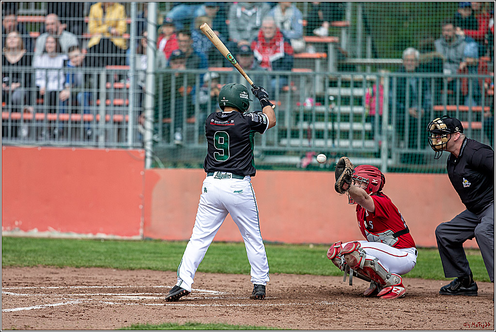 Bundesliga Baseball; Baseball - Cologne Cardinals - Solingen Alligators, 06.04.2019