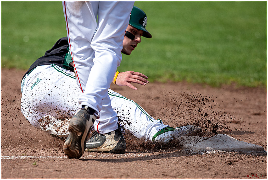 Bundesliga Baseball; Baseball - Cologne Cardinals - Solingen Alligators, 06.04.2019