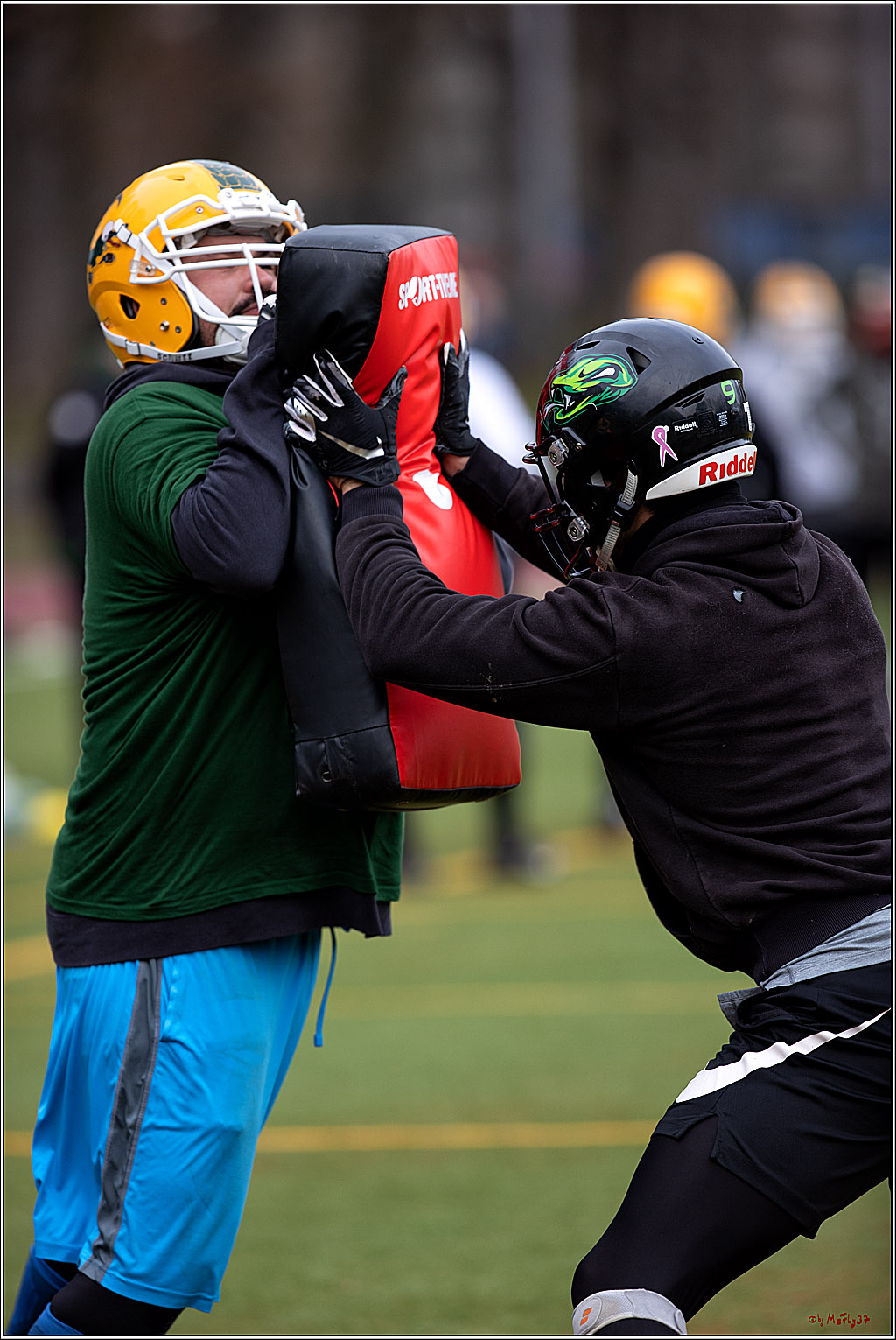 Trainingstag Cologne Crocodiles; Koeln, 08.01.2022