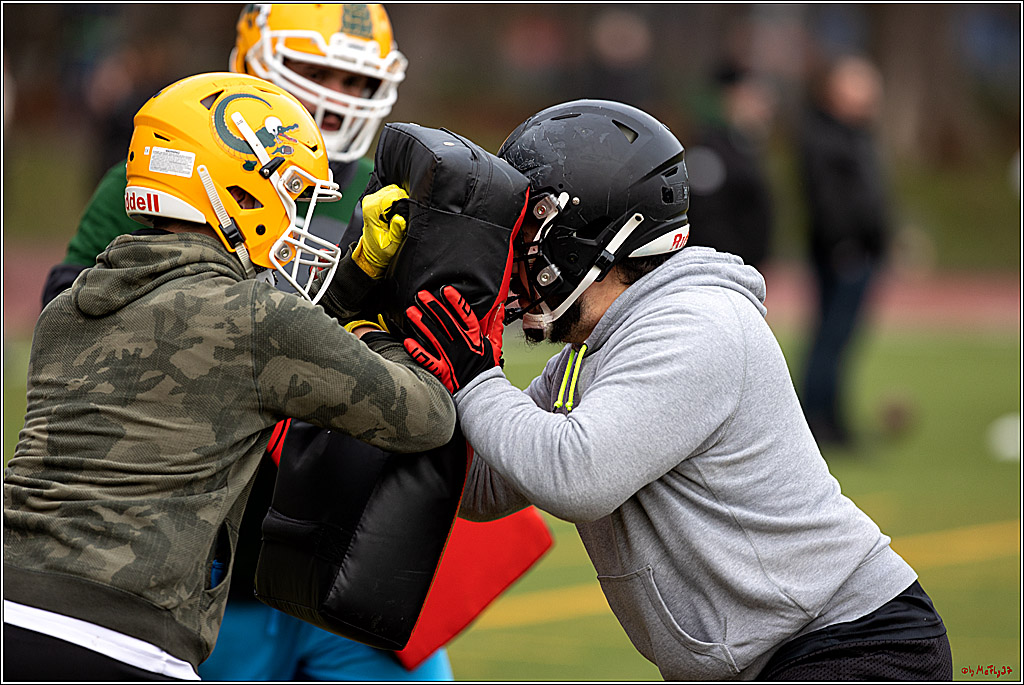 Trainingstag Cologne Crocodiles; Koeln, 08.01.2022