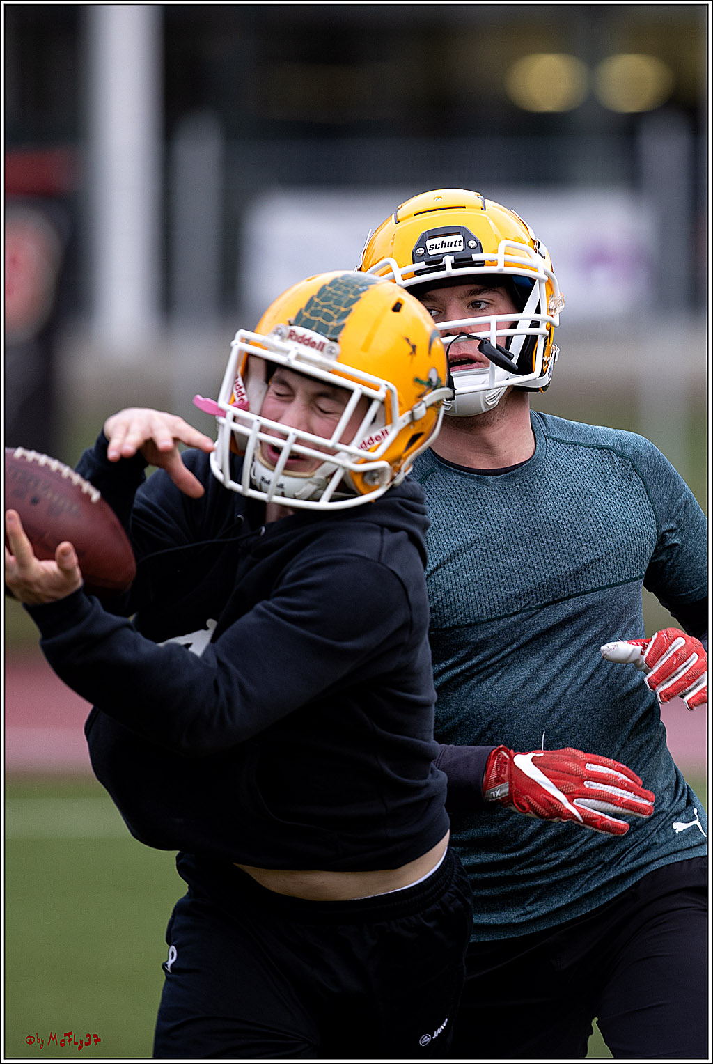 Trainingstag Cologne Crocodiles; Koeln, 08.01.2022