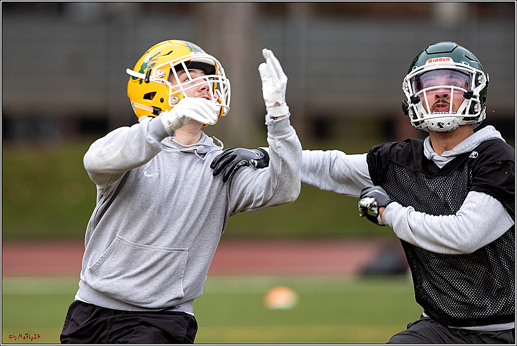 Trainingstag Cologne Crocodiles; Koeln, 08.01.2022