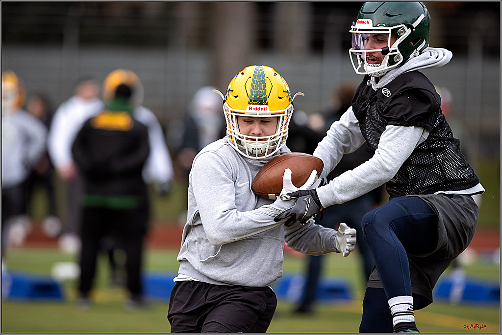 Trainingstag Cologne Crocodiles; Koeln, 08.01.2022