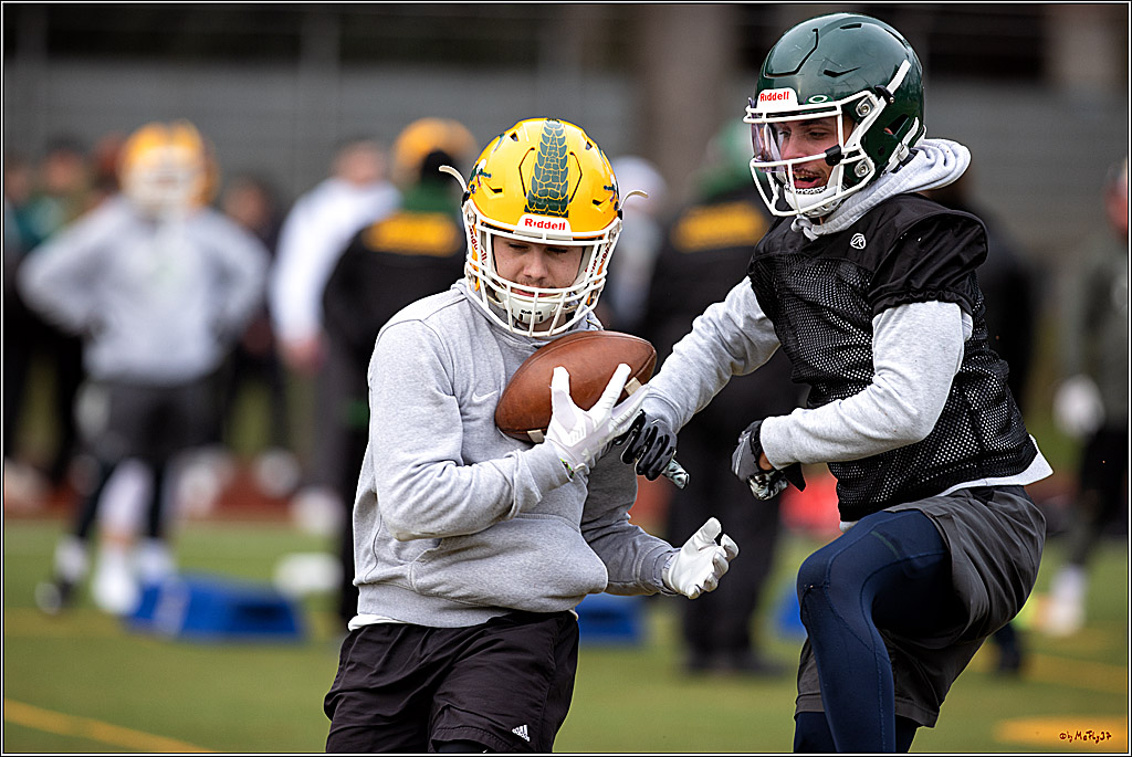 Trainingstag Cologne Crocodiles; Koeln, 08.01.2022