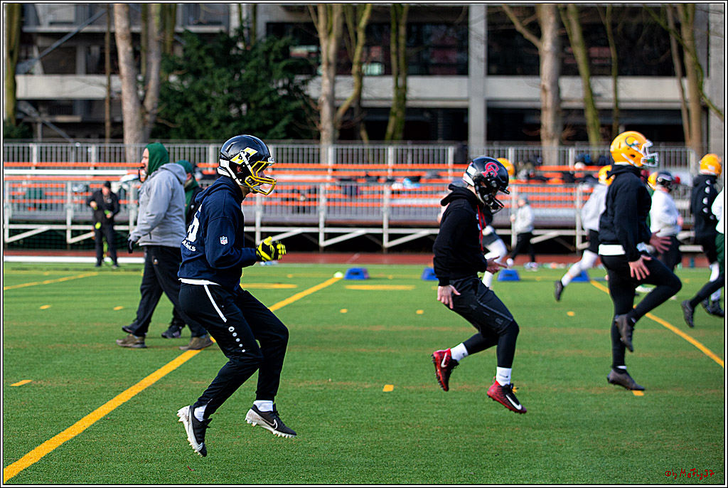 Trainingstag Cologne Crocodiles; Koeln, 08.01.2022
