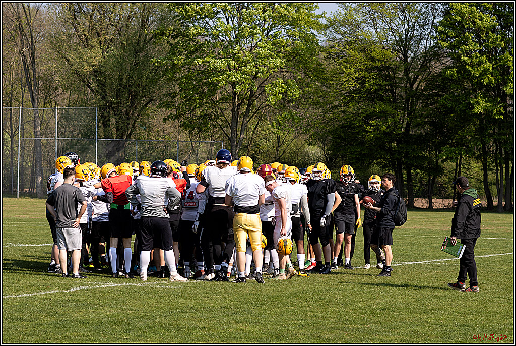 American Football, Colgone, Cocodiles,