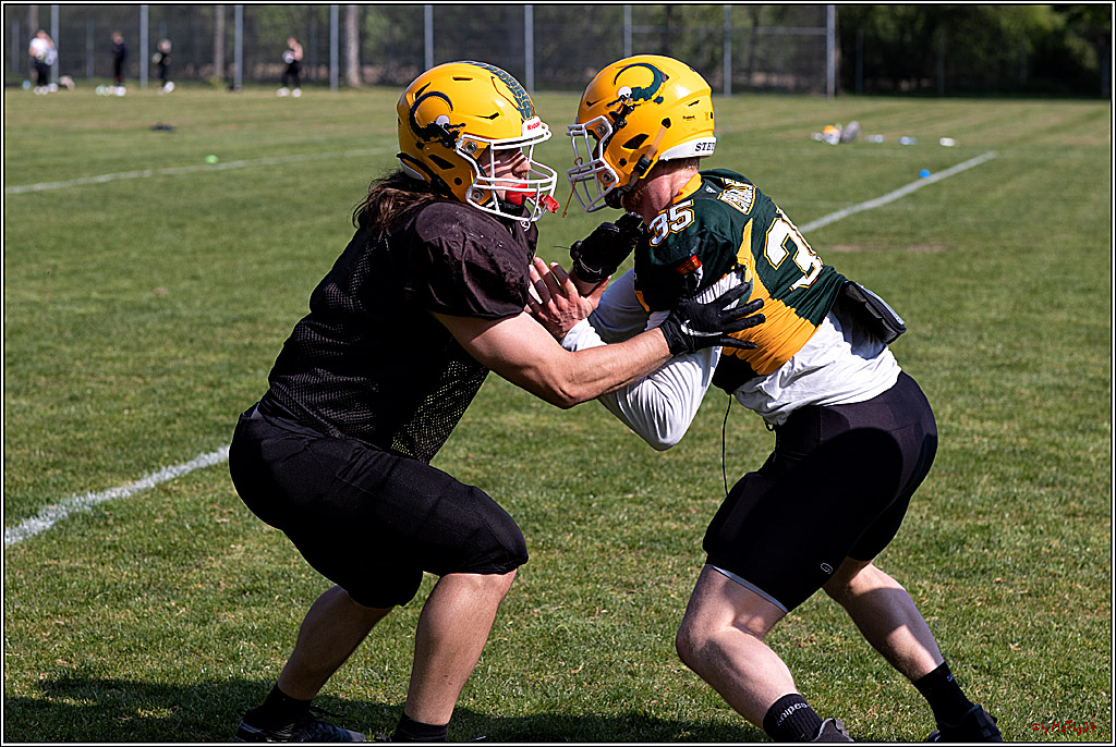 American Football, Colgone, Cocodiles,