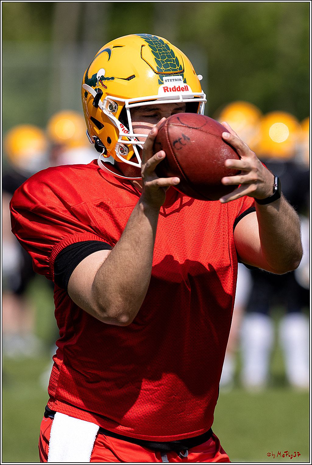 American Football, Colgone, Cocodiles,