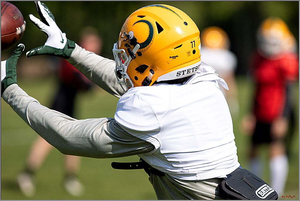 American Football, Colgone, Cocodiles,