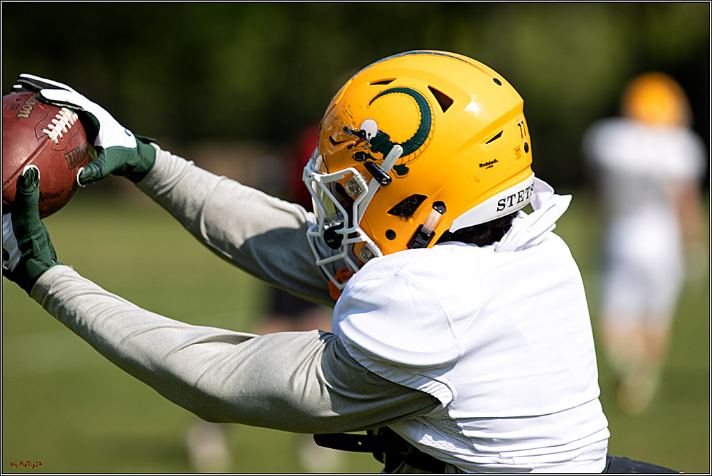 American Football, Colgone, Cocodiles,