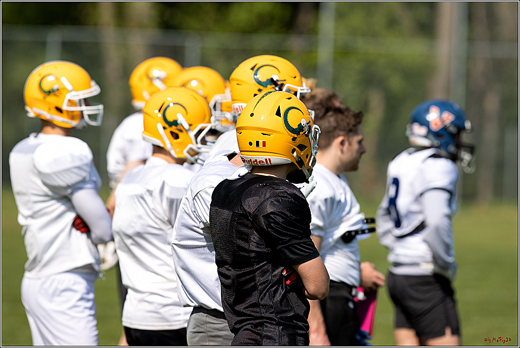 American Football, Colgone, Cocodiles,