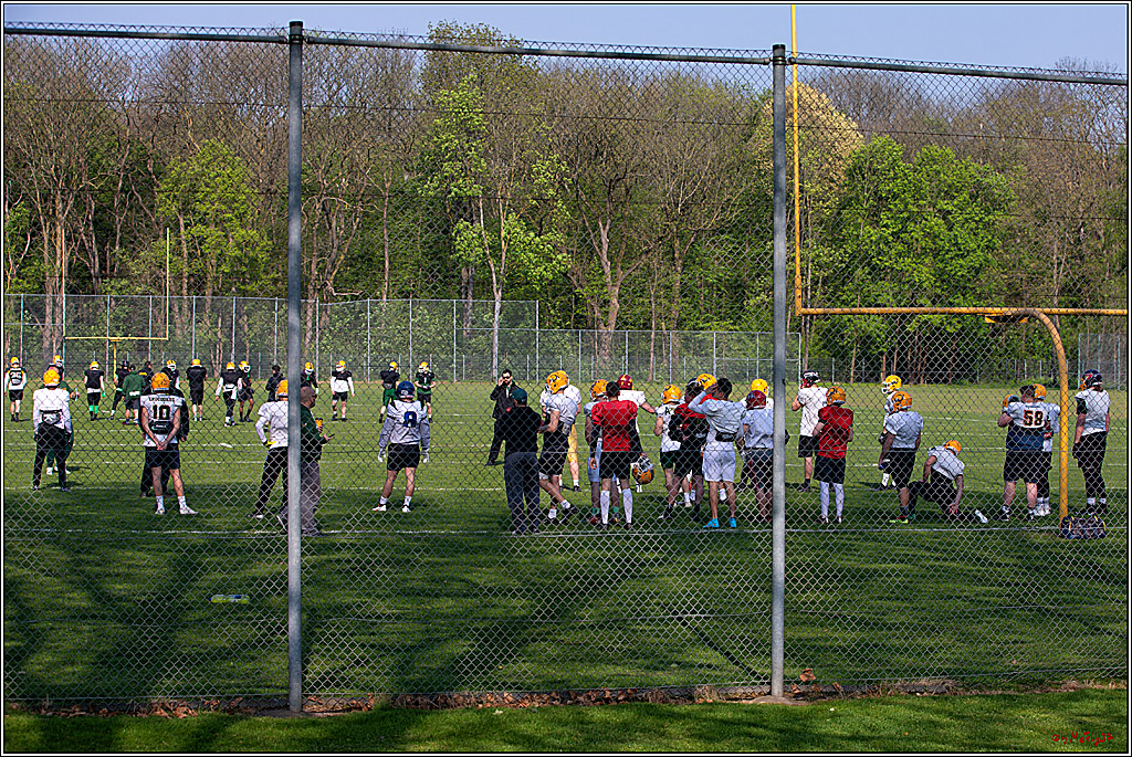 American Football, Colgone, Cocodiles,