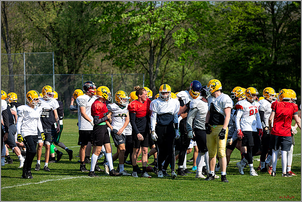 American Football, Colgone, Cocodiles,