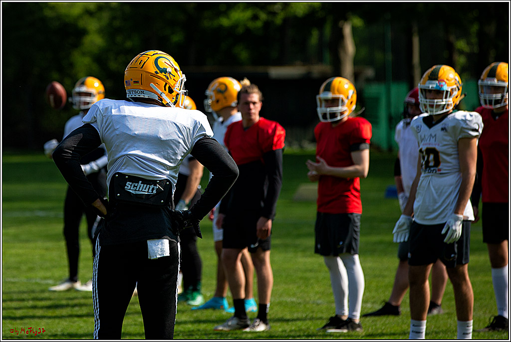 American Football, Colgone, Cocodiles,