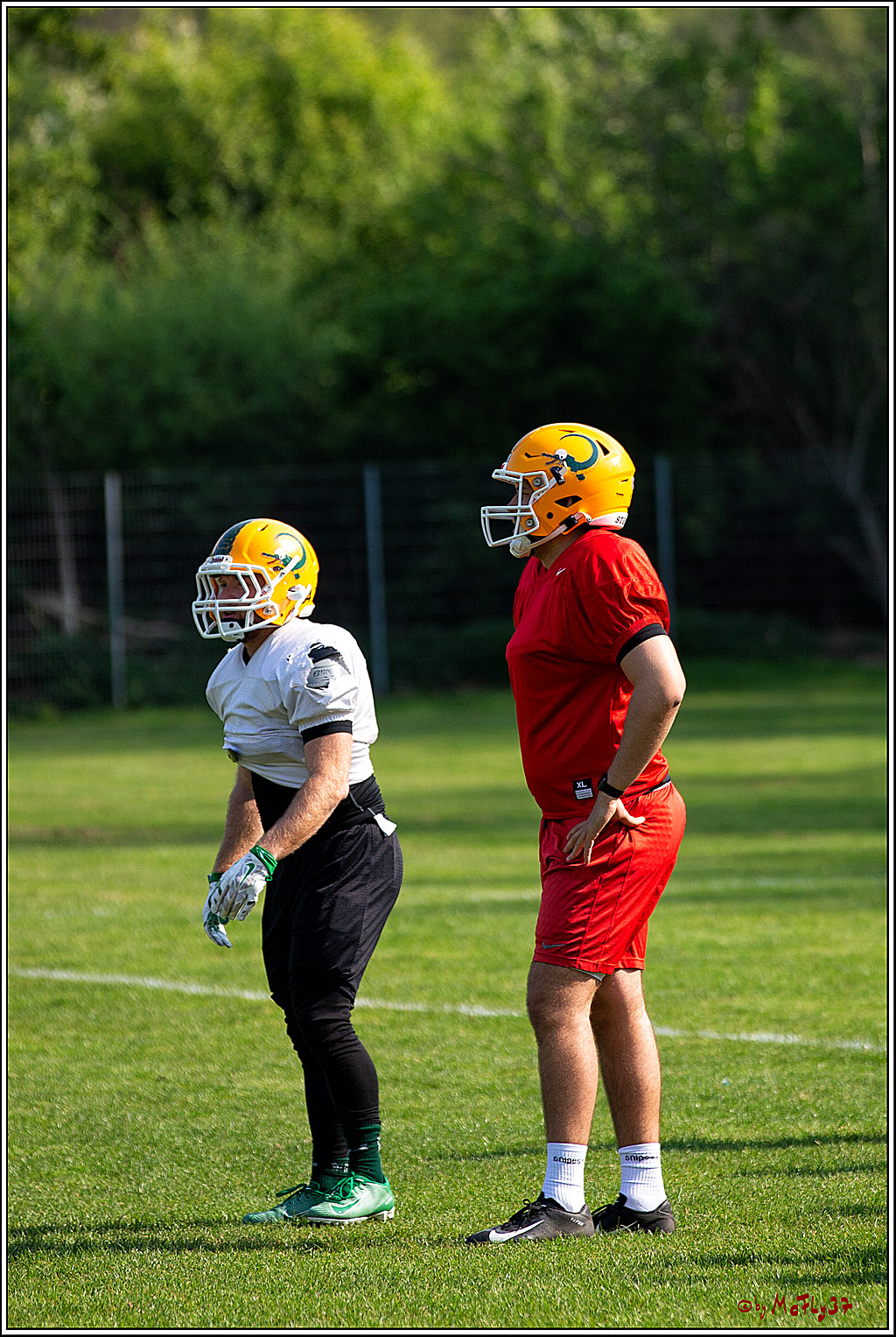 American Football, Colgone, Cocodiles,