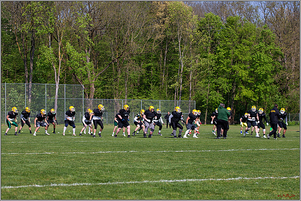 American Football, Colgone, Cocodiles,