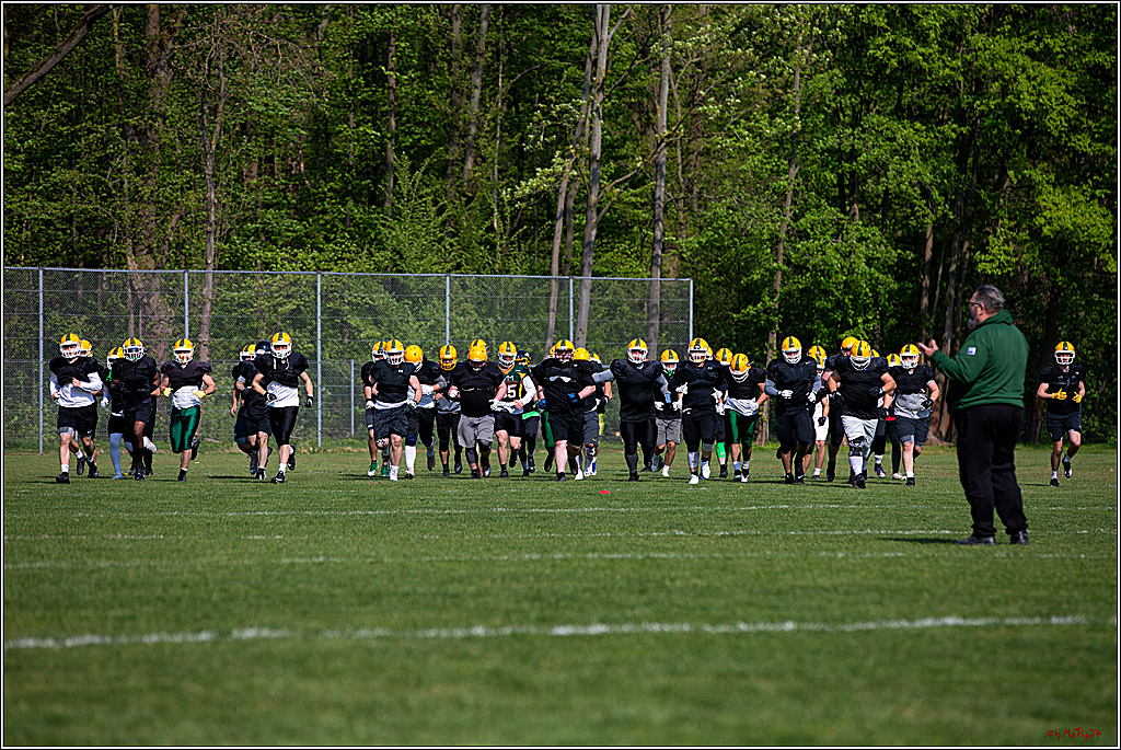 American Football, Colgone, Cocodiles,