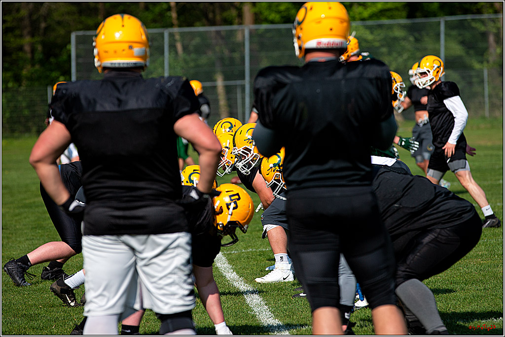 American Football, Colgone, Cocodiles,