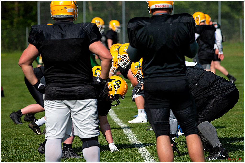 American Football, Colgone, Cocodiles,