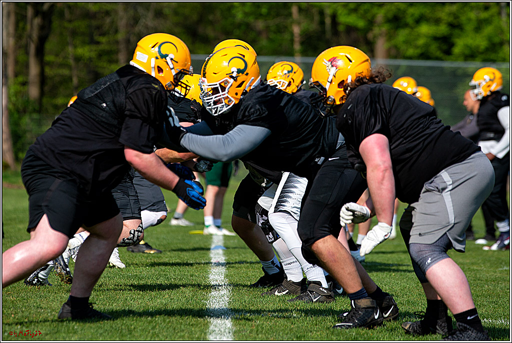 American Football, Colgone, Cocodiles,