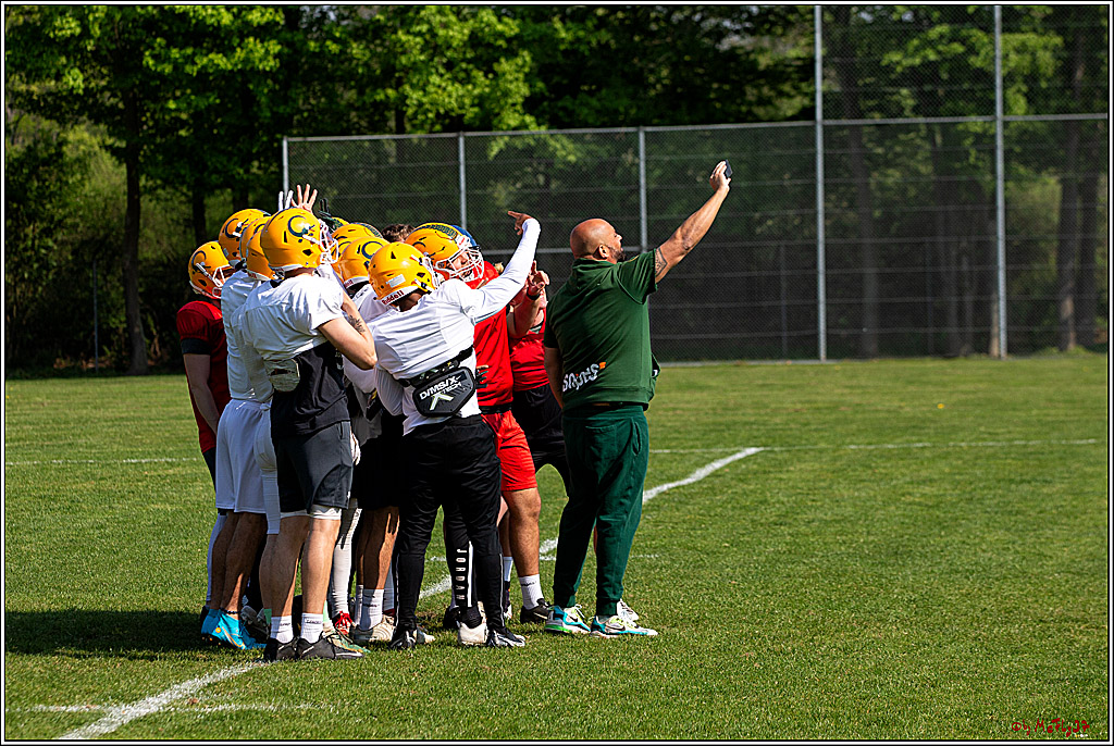 American Football, Colgone, Cocodiles,