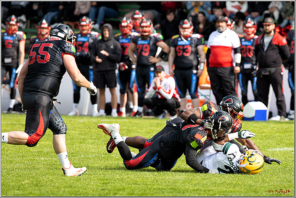 GFL - Charity Bowl, Solingen Paladins vs Cologne Crocodiles, 30.04.2022