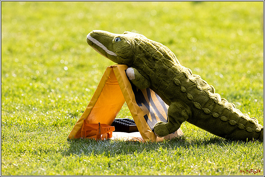 GFL - Charity Bowl, Solingen Paladins vs Cologne Crocodiles, 30.04.2022