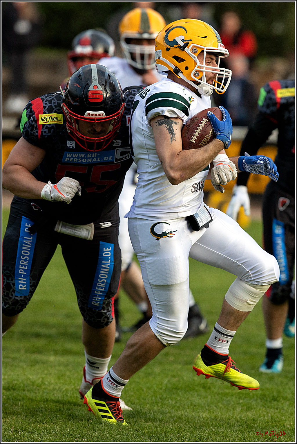 GFL - Charity Bowl, Solingen Paladins vs Cologne Crocodiles, 30.04.2022