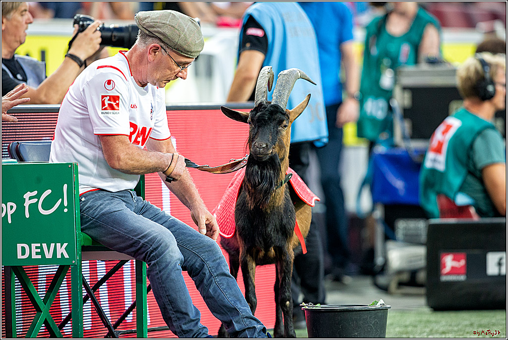 Fussball 1.Bundesliga, 1.FC Koeln - Borussia Dortmund, 23.08.2019