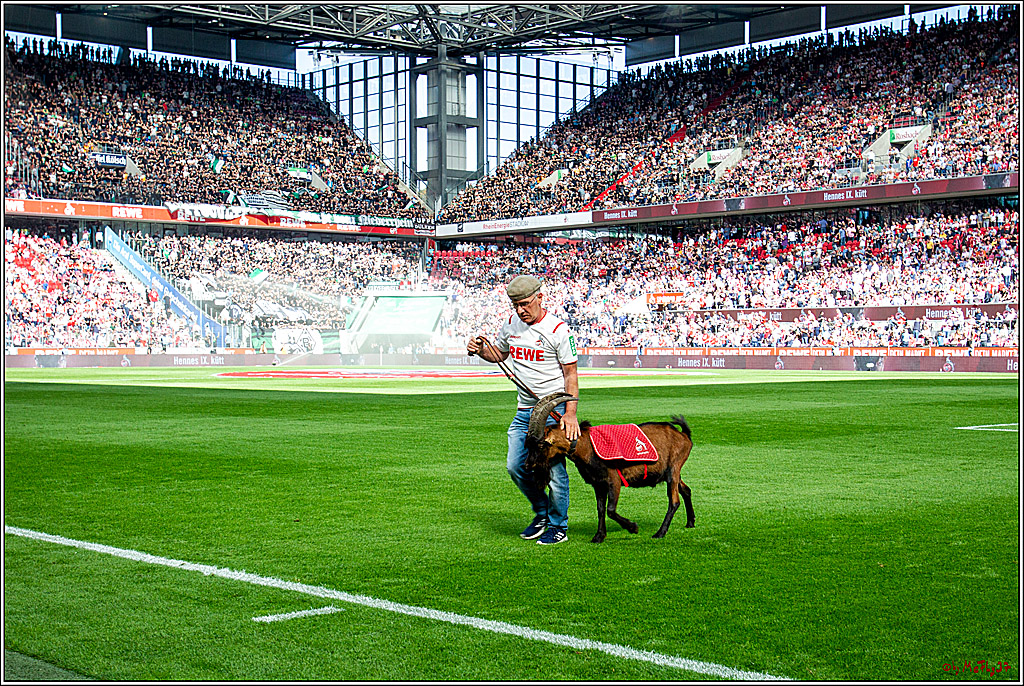 1.Bundesliga; Koeln vs. Moenchengladbach; 14.09.2019