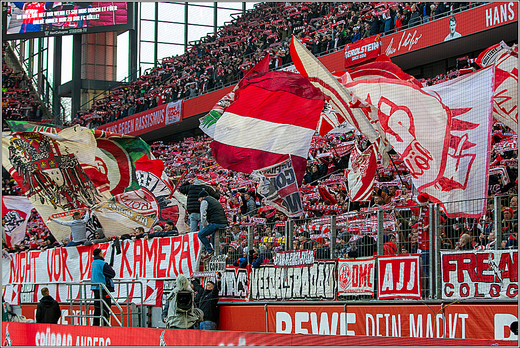 1. Fussball-Bundesliga; 1. FC Koeln - FC Augsburg,, 30.11.2019