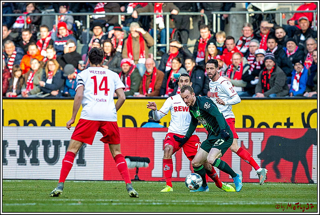 Fussball 1. Fussball Bundesliga, 1.FC Koeln - VfL Wolfsburg, 18.01.2020